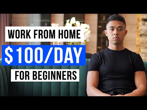 Work From Home Jobs For Beginners 2022 (That Earn $100/day+)